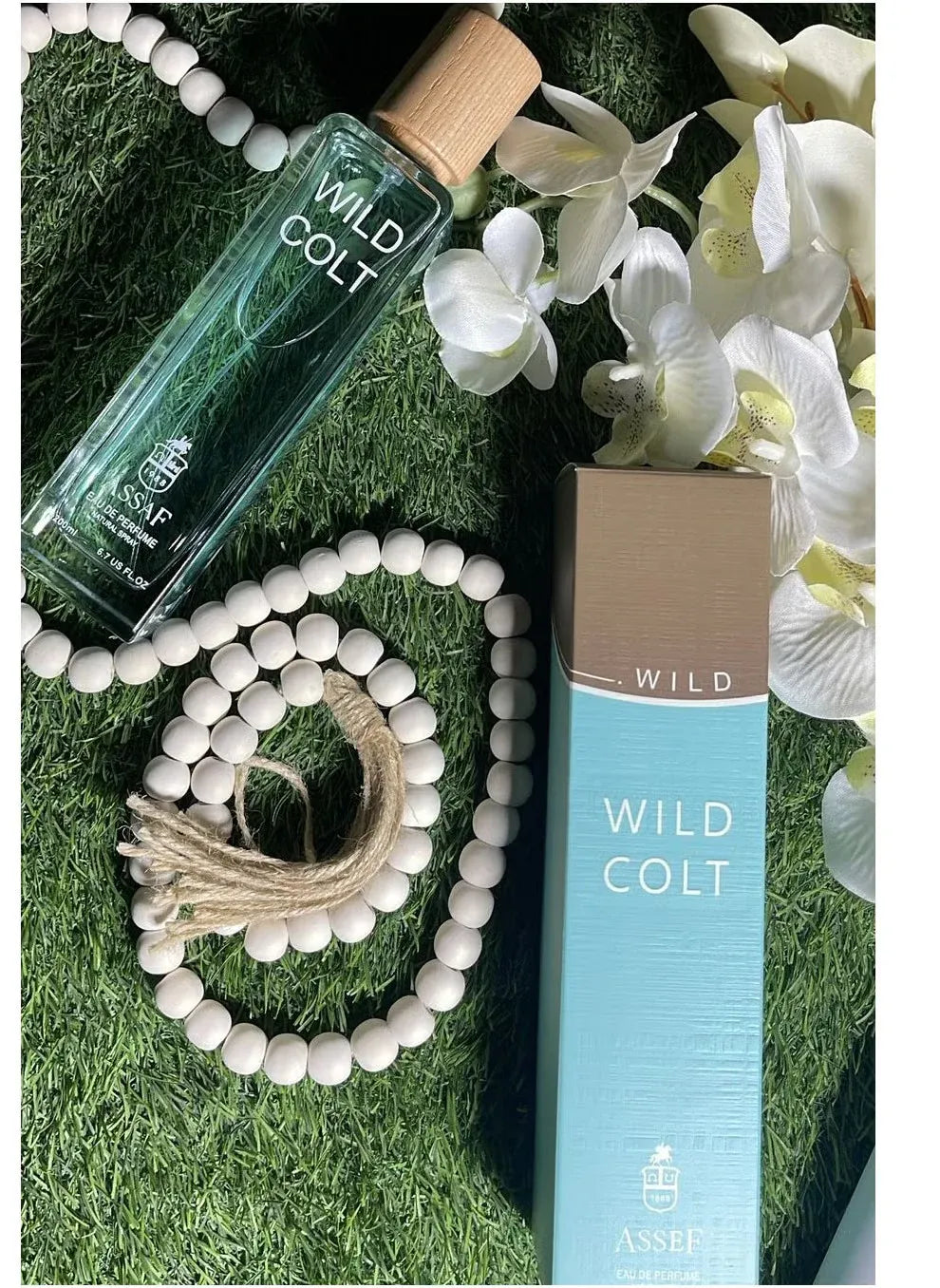 Asaff Wild Colt + Gris Erik | أساف وايلد كولت + جريس إريك - AllGoodzMart